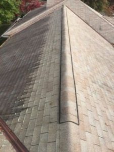 Roof Cleaning In Potomac, MD