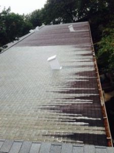 Roof cleaning in Frederick, MD