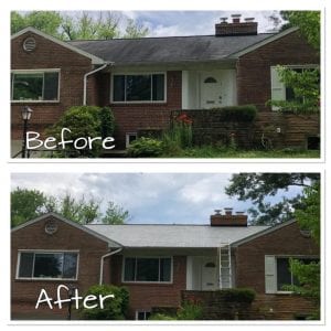 Roof cleaning