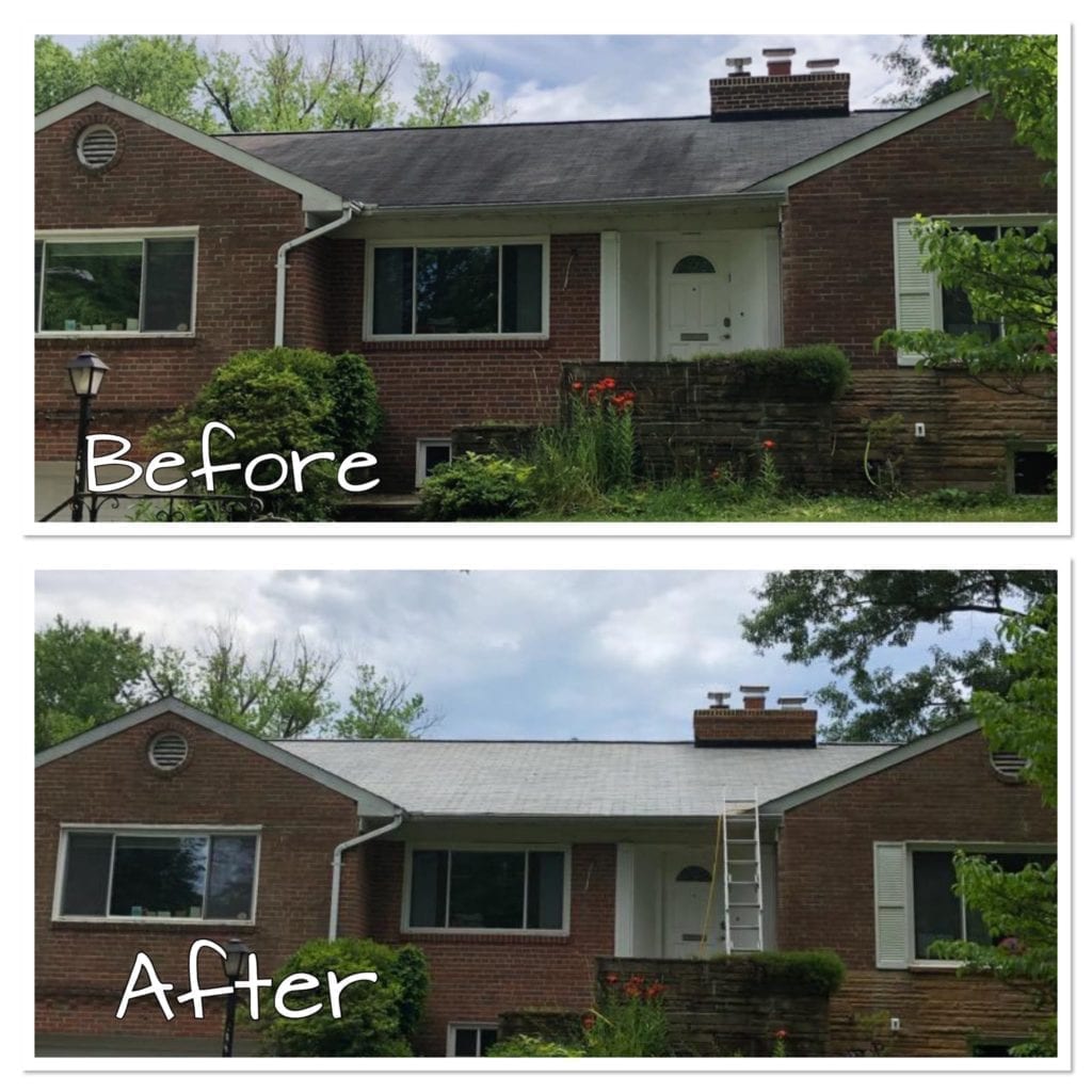 Roof cleaning