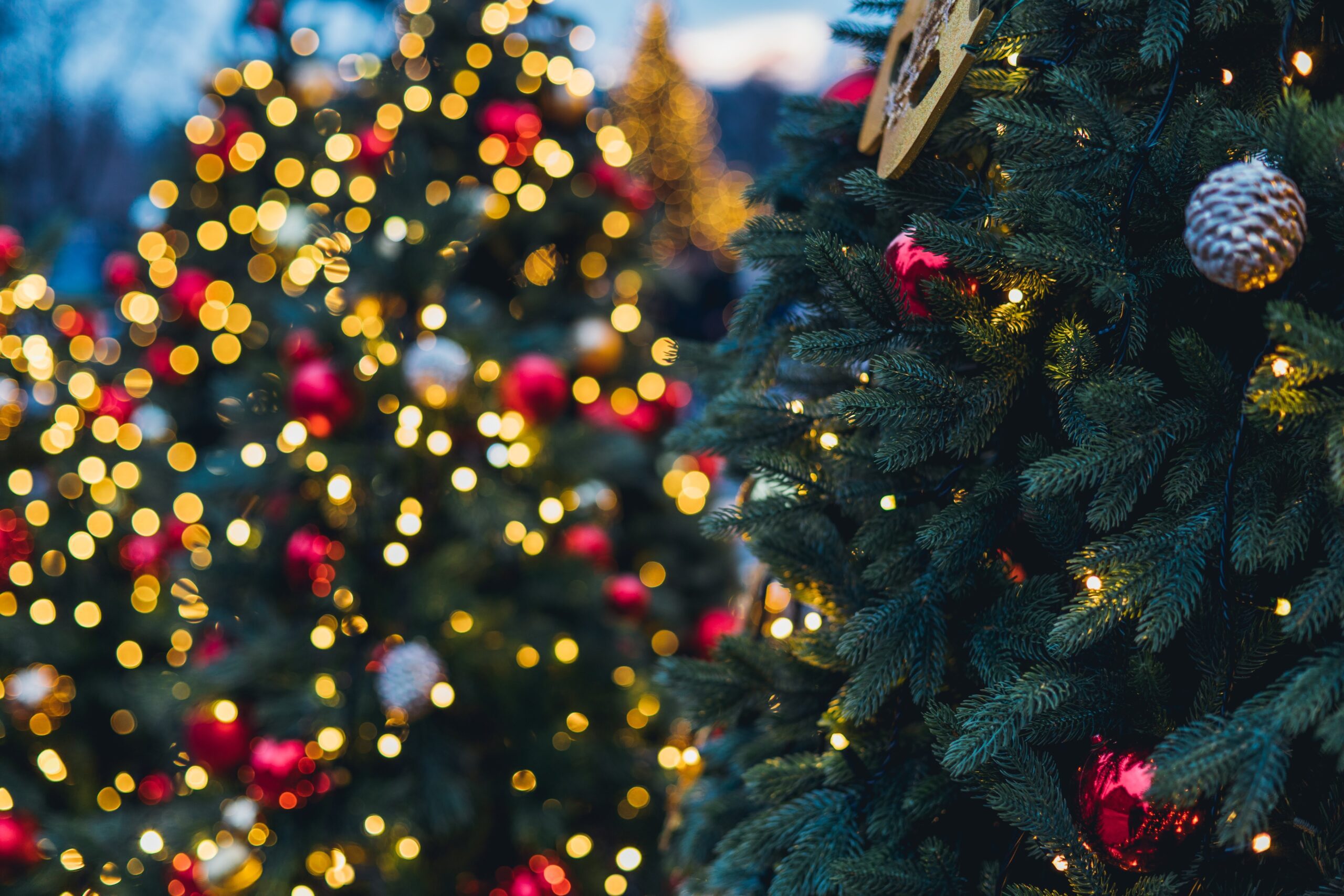 christmas-decor-and-christmas-lights-festive-spir-2022-11-16-15-05-06-utc - Superior Pressure Washing christmas-decor-and-christmas-lights-festive-spir-2022-11-16-15-05-06-utc