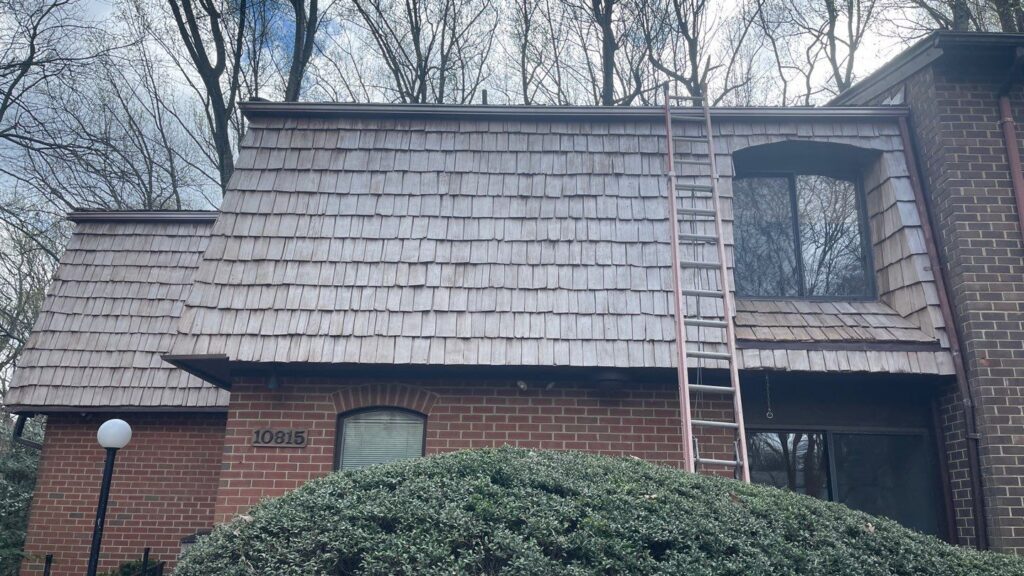 A roof with a ladder leading up to it