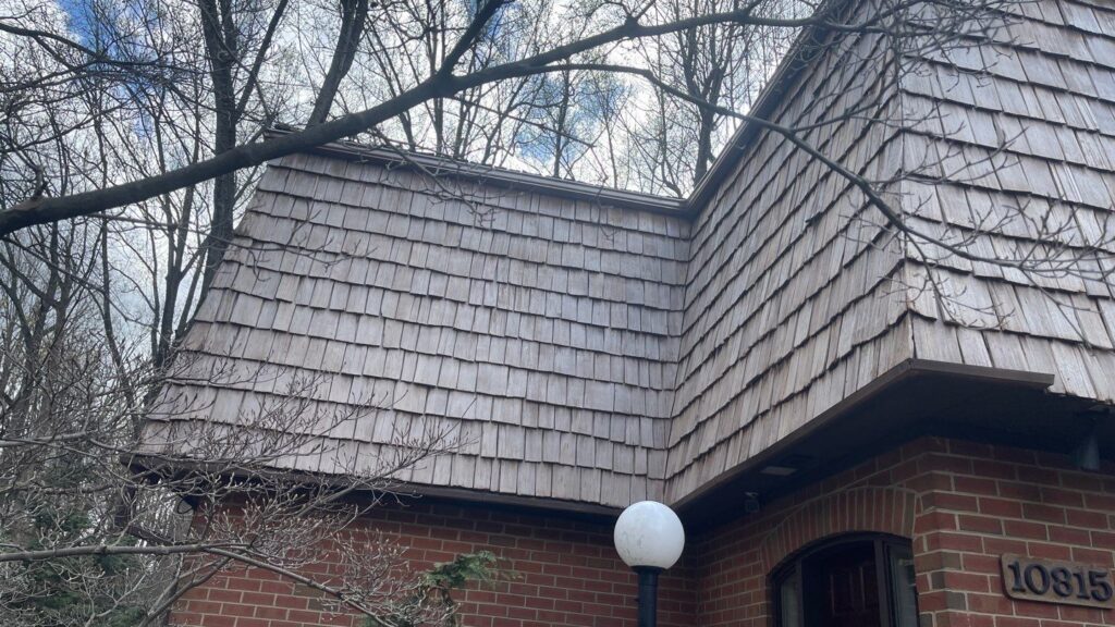 A roof with a branch in front of it.