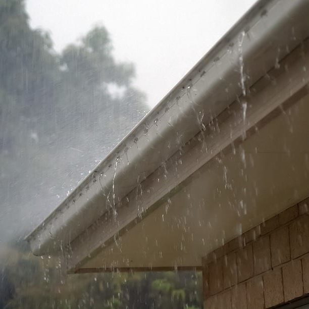 clogged gutters