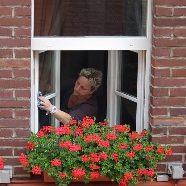 Woman cleaning window