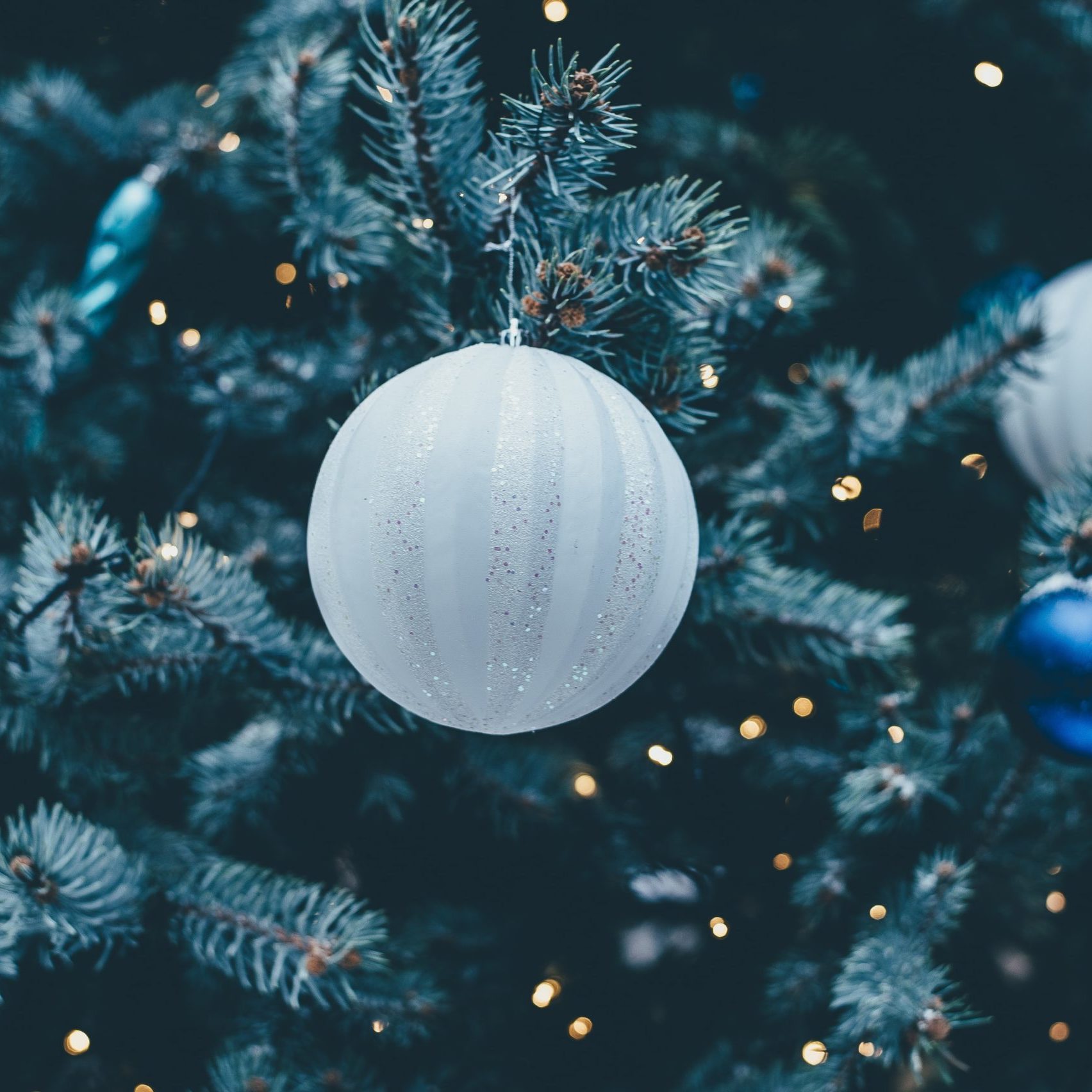 annie-spratt-V705bwrTnQI-unsplash