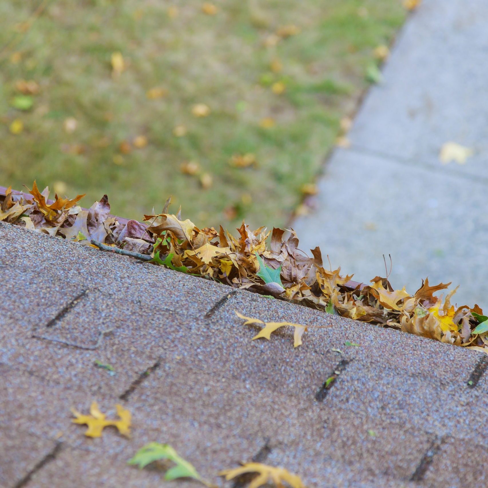 Dirty roof with iron gutter with autumn leaves requiring cleaning