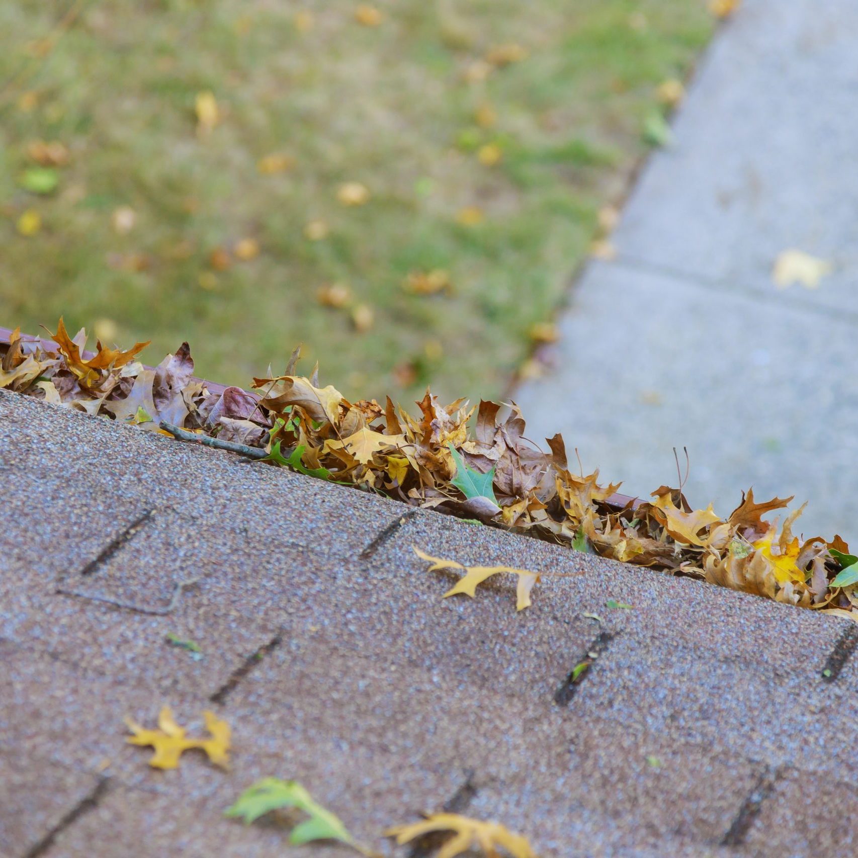 Dirty roof with iron gutter with autumn leaves requiring cleaning